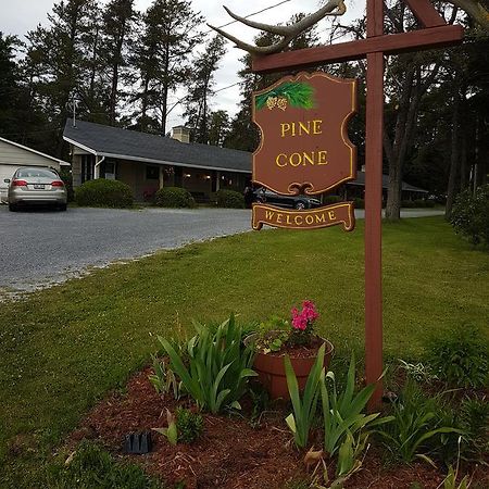 Pinecone Motel Sussex Buitenkant foto