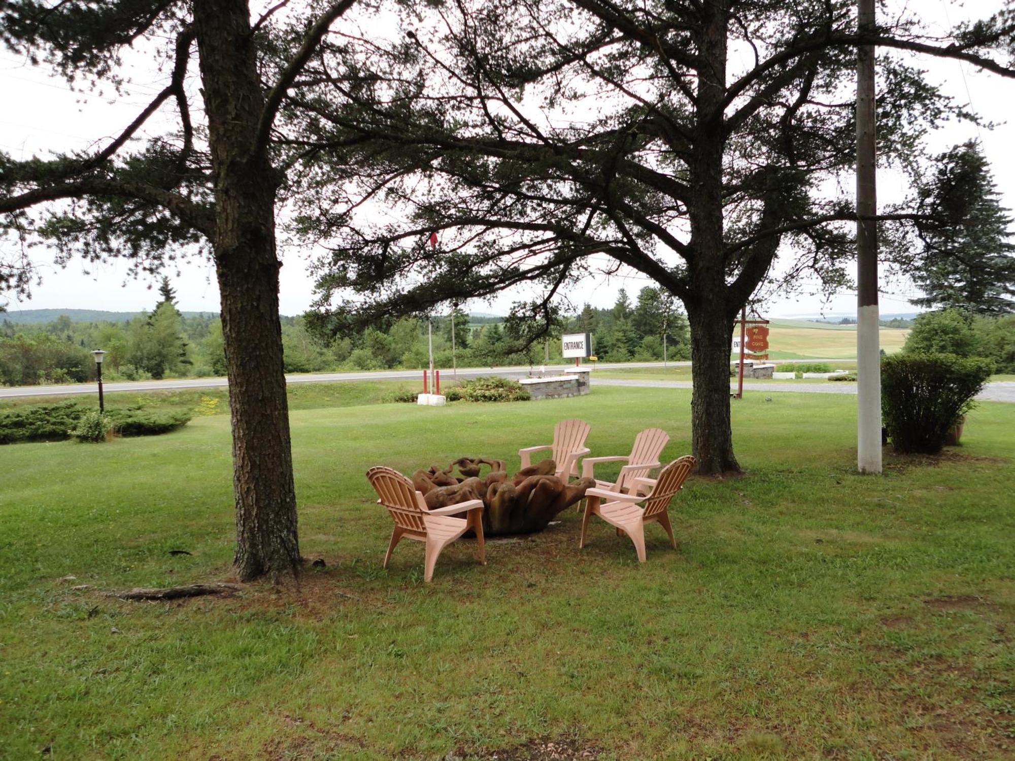 Pinecone Motel Sussex Buitenkant foto