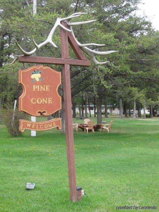Pinecone Motel Sussex Buitenkant foto