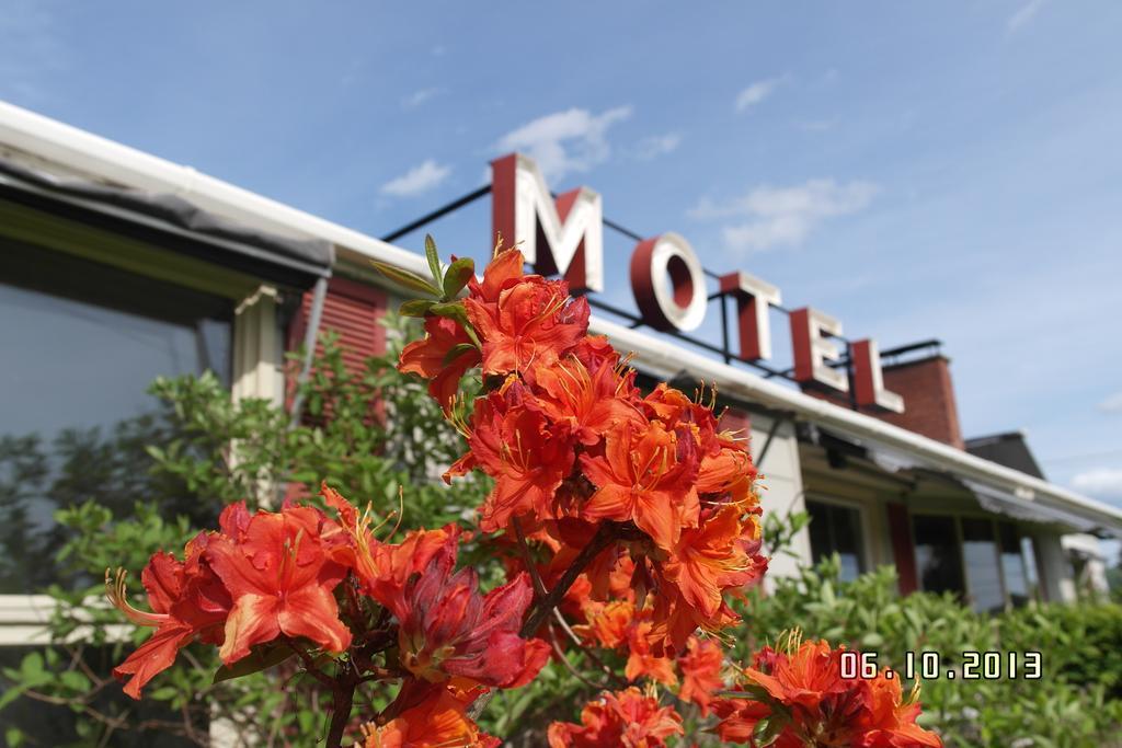 Pinecone Motel Sussex Buitenkant foto